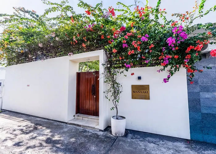 Luxury 3br With Pool Sauna & Garden Canggu